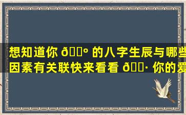 想知道你 🌺 的八字生辰与哪些因素有关联快来看看 🌷 你的爱情、财富和事业运吧！